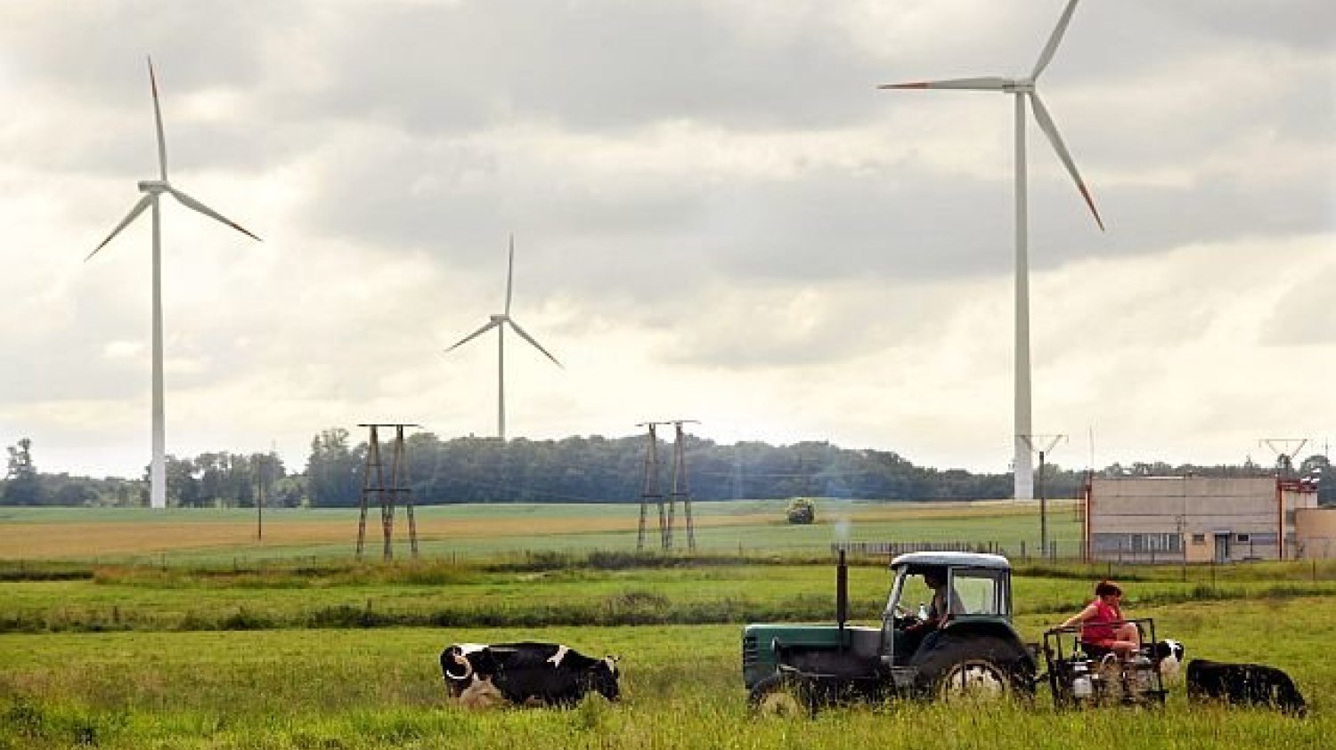 Farmy wiatrowe wyprodukowały w lutym nawet 30 proc. całościowego zapotrzebowania na energię elektryczną w Polsce.