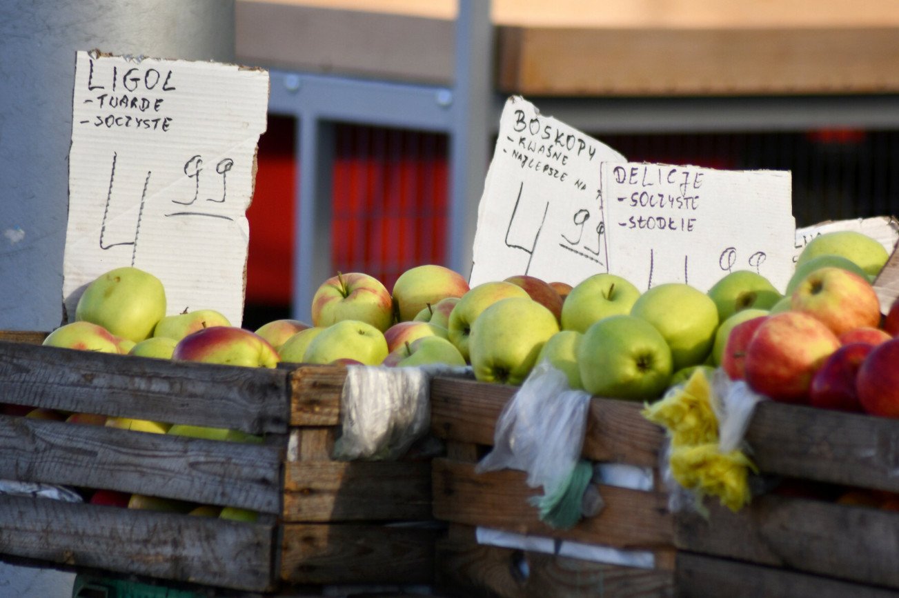 Cena jabłek w 2024 roku jest wyższa o kilkadziesiąt procent w porównaniu do zeszłego