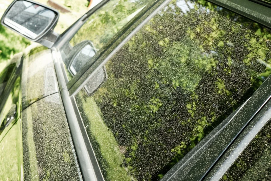 Aplikacja FindAir obejmuje m.in. kalendarz pyleń.