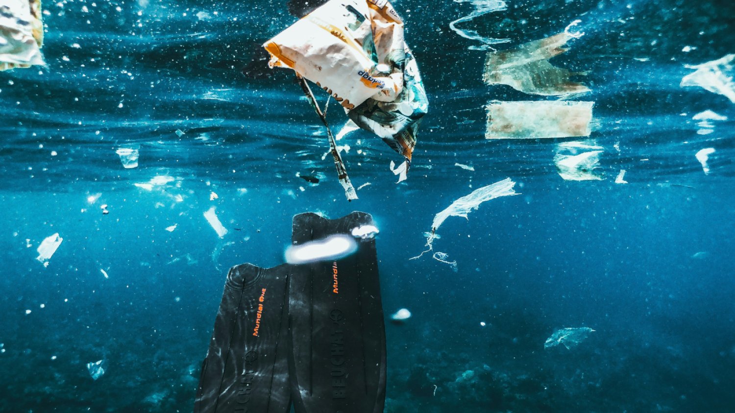 To gorsze niż mikroplastik. Cząsteczki, które przekraczają granice komórkowe Od planktonu do talerza. Jak nanoplastik trafia do ludzi