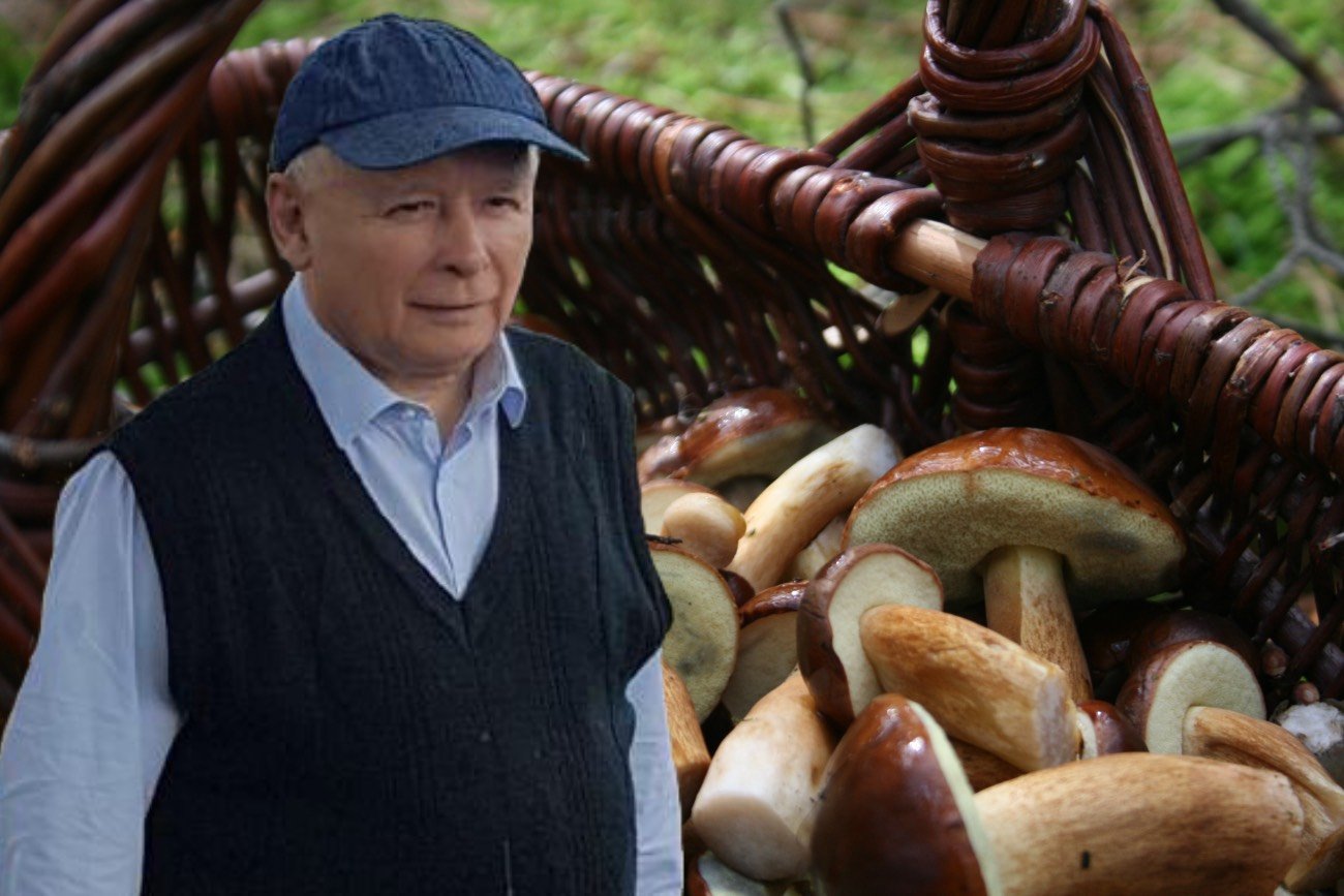 Zbieranie grzybów zostanie zakazane? UE odpowiada na groźby Kaczyńskiego