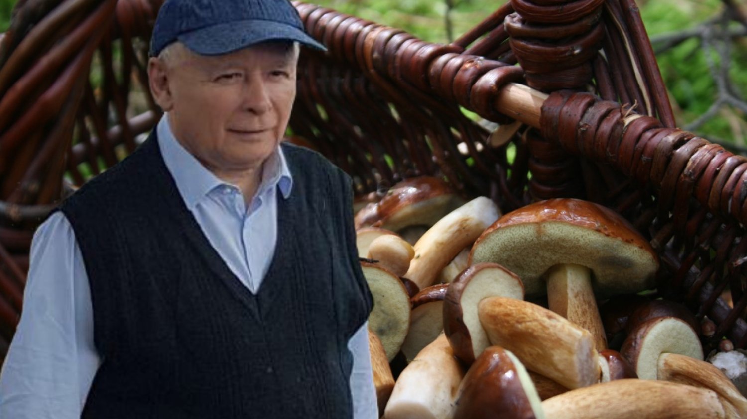 Zbieranie grzybów zostanie zakazane? UE odpowiada na groźby Kaczyńskiego