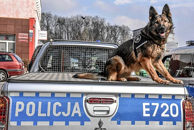 Obecnie brakuje w Polsce ponad 5300 policjantów.