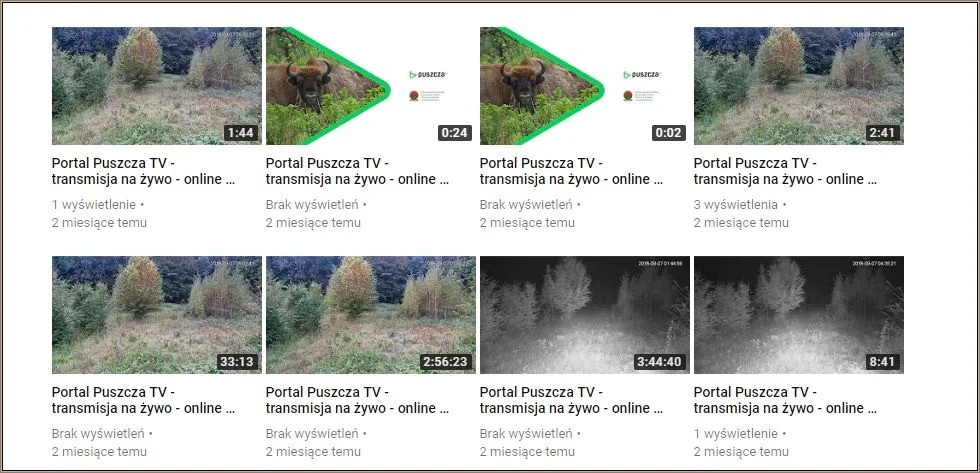 Filmów, które Puszcza.tv umieszcza na YouTube nie ogląda prawie nikt