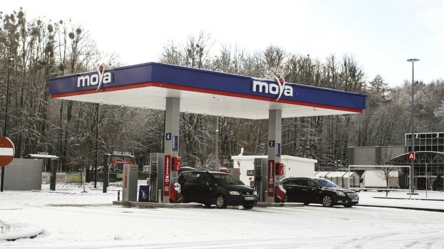 Jakie samochody mogą tankować benzynę E10?