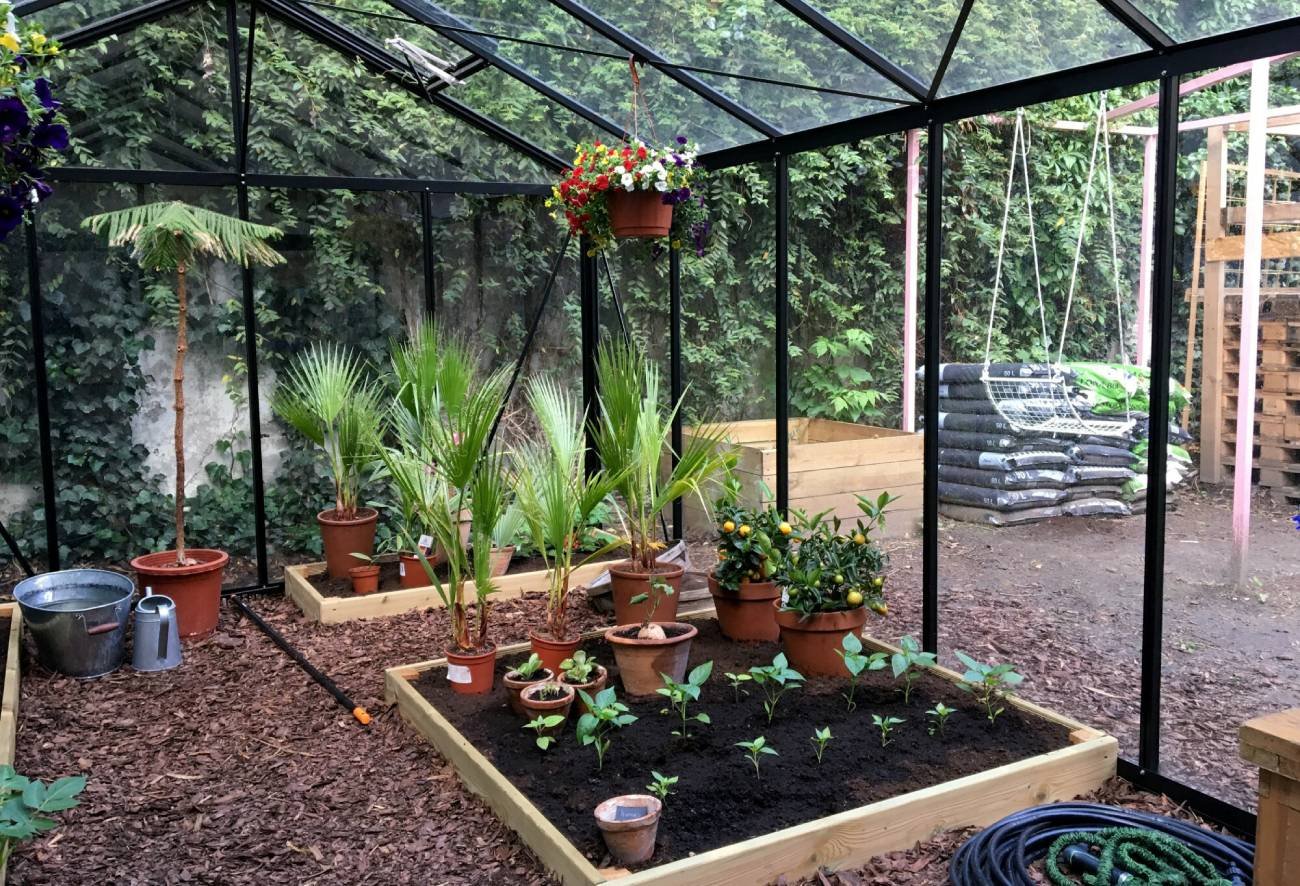 Kilka krzaków albo wiata pozwoli na inwestycje budowlane.