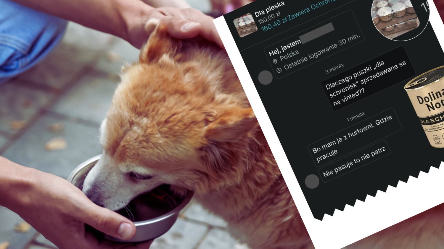 Ręce karmiące psa karmą w misce i wklejony screen z profilu Dolina Noteci na Facebooku. Skandal z karmą dla bezdomnych zwierząt. Tak ktoś bogaci się kosztem psów i kotów w schroniskach.