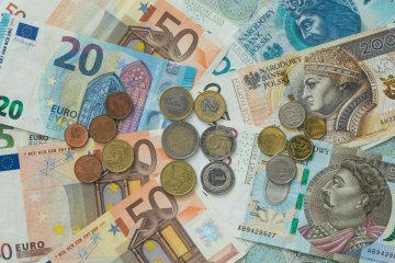 Banknoty euro i złotowe