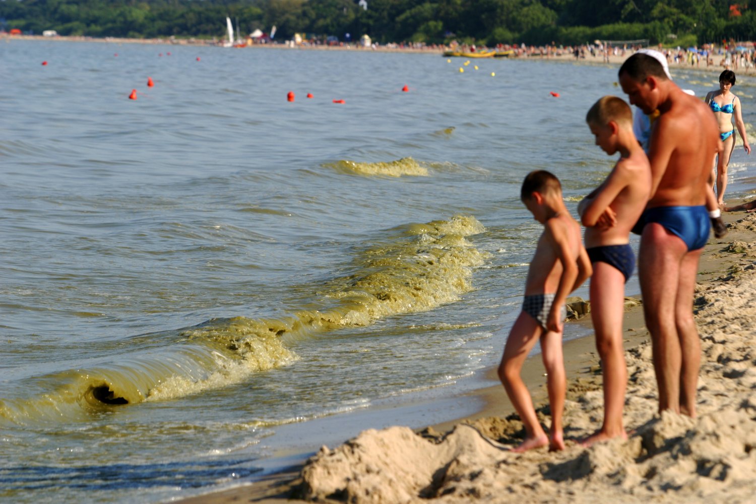Piękna pogoda i upały zachęcają do wejścia do wody. Jednak przez sinice jest to niebezpieczne dla zdrowia