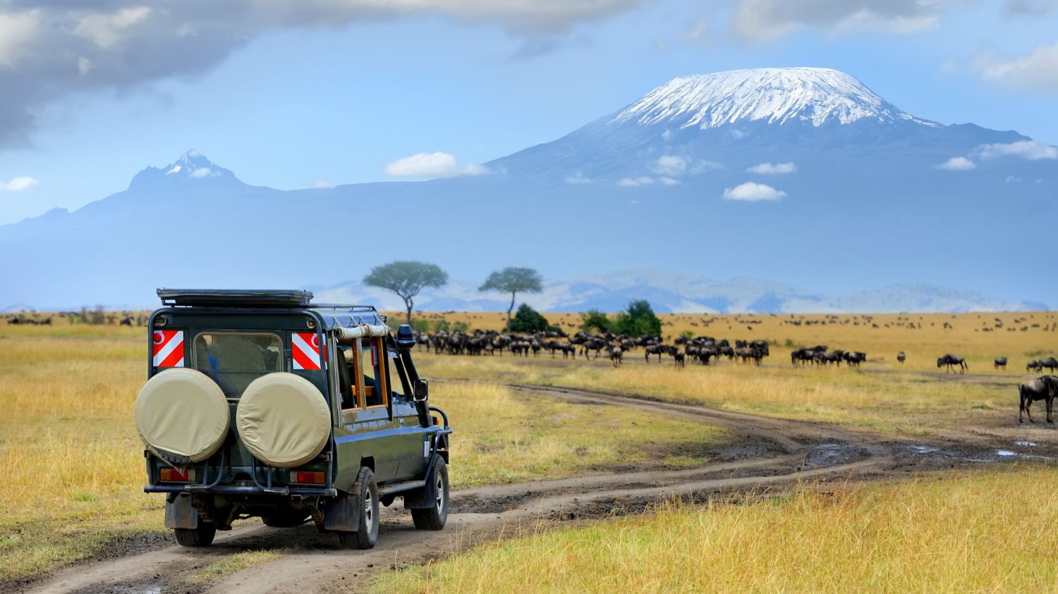 Darmowa przygoda na safari? W Nairobi mogą się na nią wybrać pasażerowie czekający minimum 6 godzin na następny lot