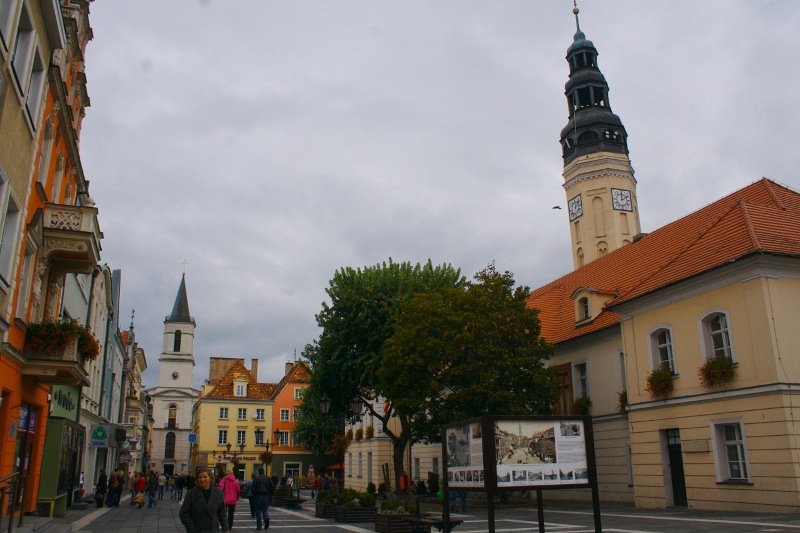 Ponad 3 mln zł na aktywizację młodych bezrobotnych w Zielonej Górze w ramach POWER.