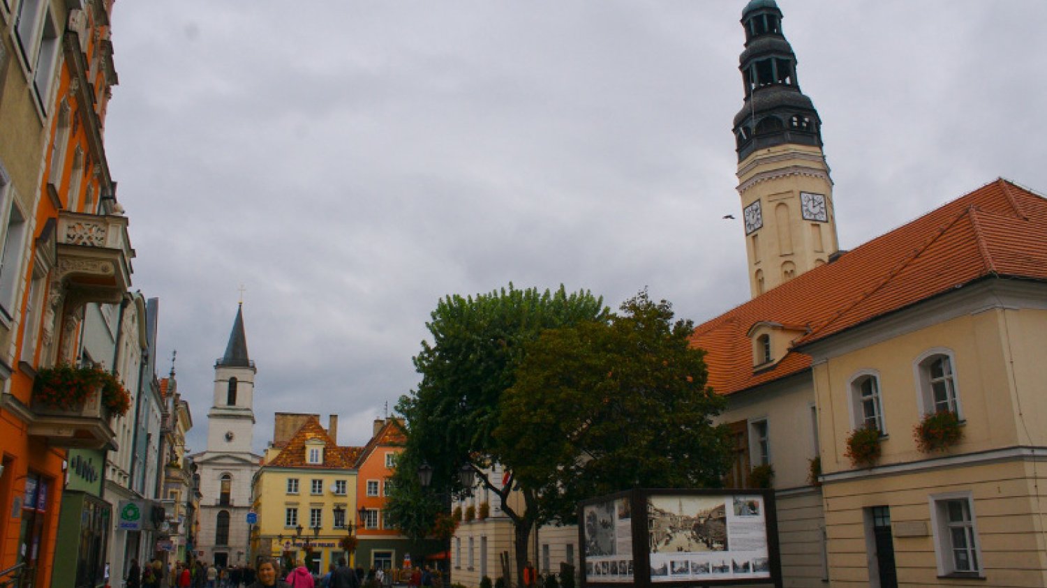 Ponad 3 mln zł na aktywizację młodych bezrobotnych w Zielonej Górze w ramach POWER.
