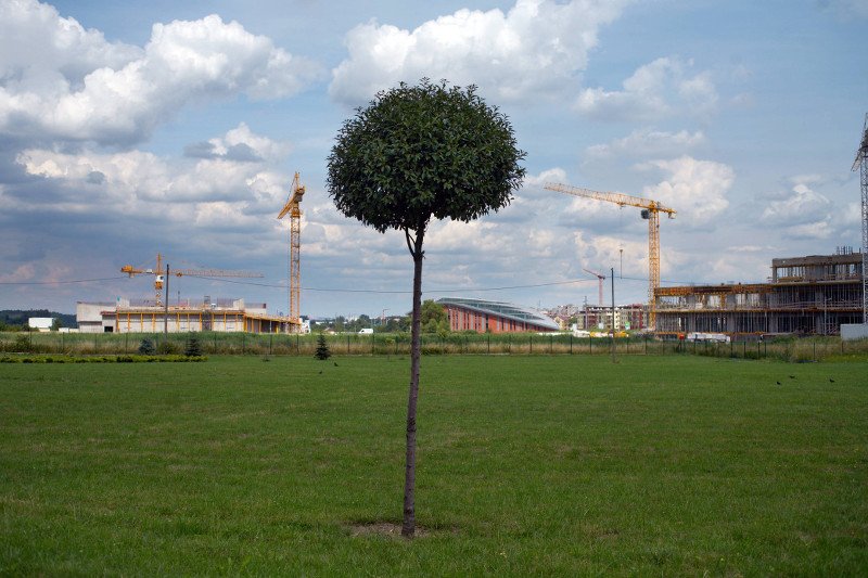 Biznes nie może dziś już pomijać kwestii zrównoważonego rozwoju.