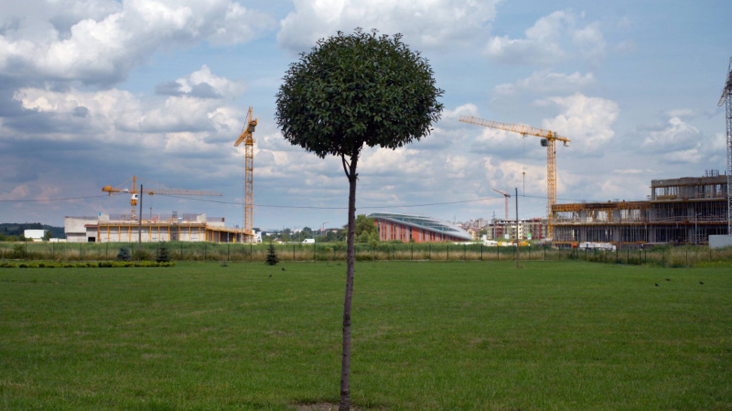 Biznes nie może dziś już pomijać kwestii zrównoważonego rozwoju.