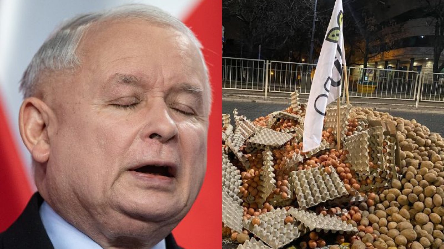 Jarosław Kaczyński jest znany z miłości do zwierząt. Martwy tucznik na ulicy mógł uderzyć w czuły punkt.