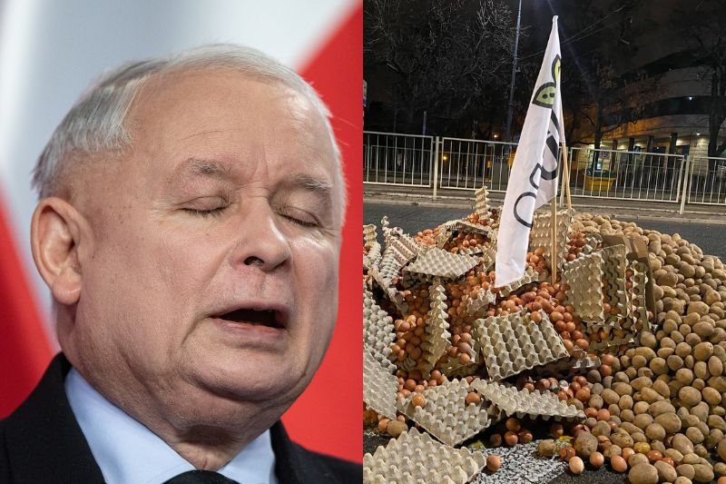 Jarosław Kaczyński jest znany z miłości do zwierząt. Martwy tucznik na ulicy mógł uderzyć w czuły punkt.