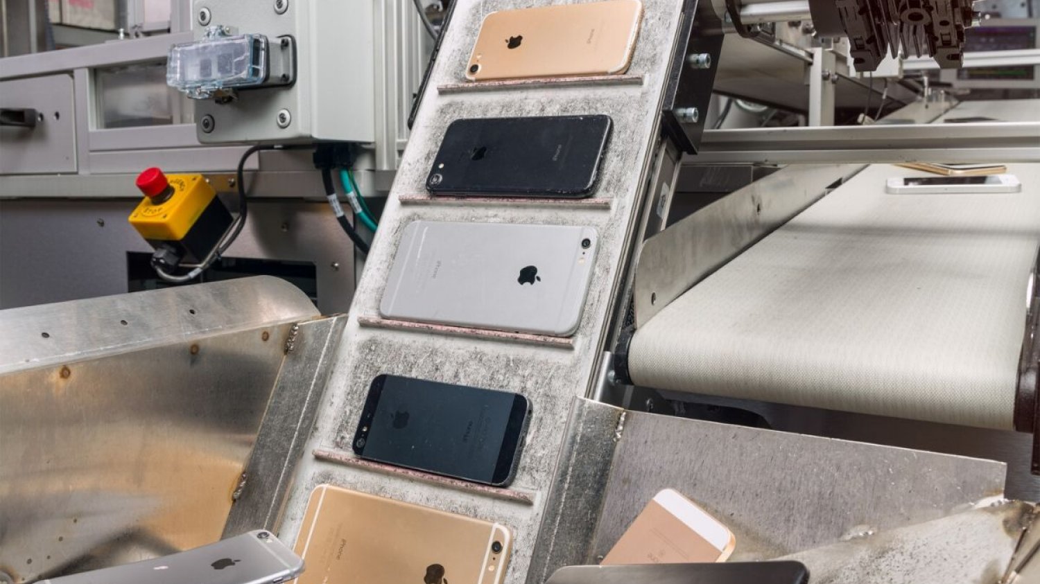 Robot Daisy jest w stanie rozebrać nawet 200 iPhone'ów w ciągu godziny.