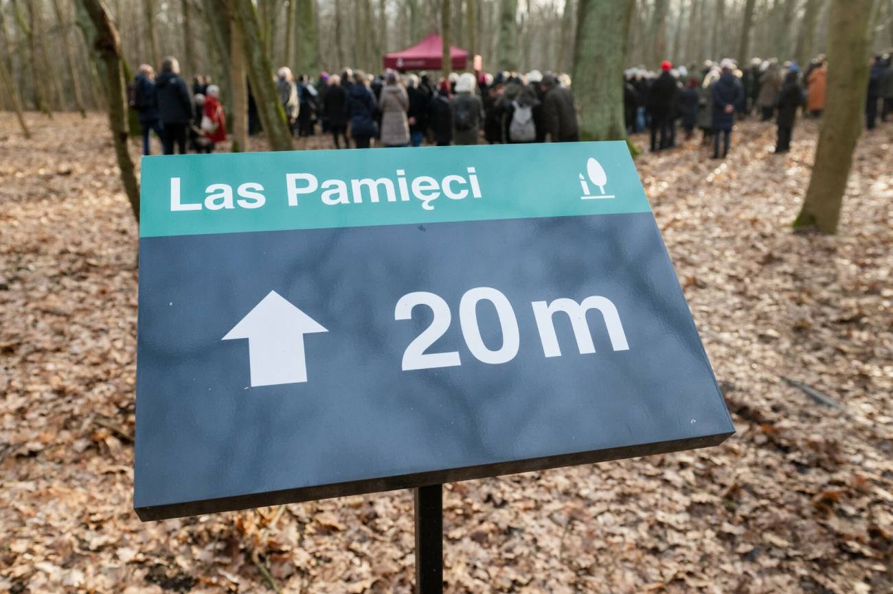 Las Pamięci może powstać w Warszawie.