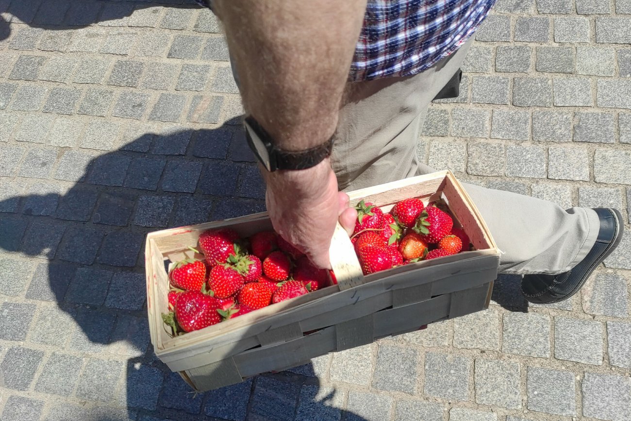 Rolnicy protestują o zbyt niskie ceny w skupie.
