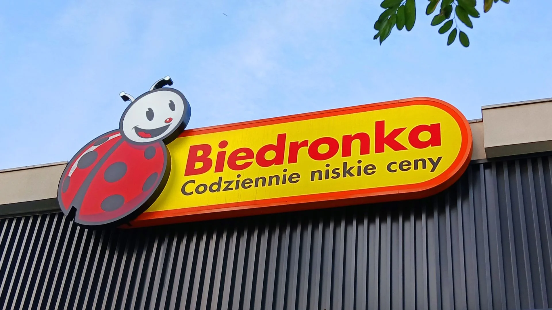 W Biedronce drugi produkt za 5 zł. Normalnie zapłacisz prawie 190