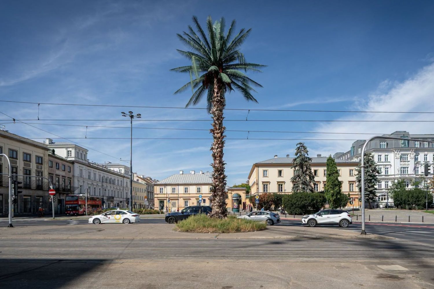 Warszawa zmienia najbardziej rozpoznawalne rondo w stolicy. Tak będzie wyglądać. palma pośród betonu.