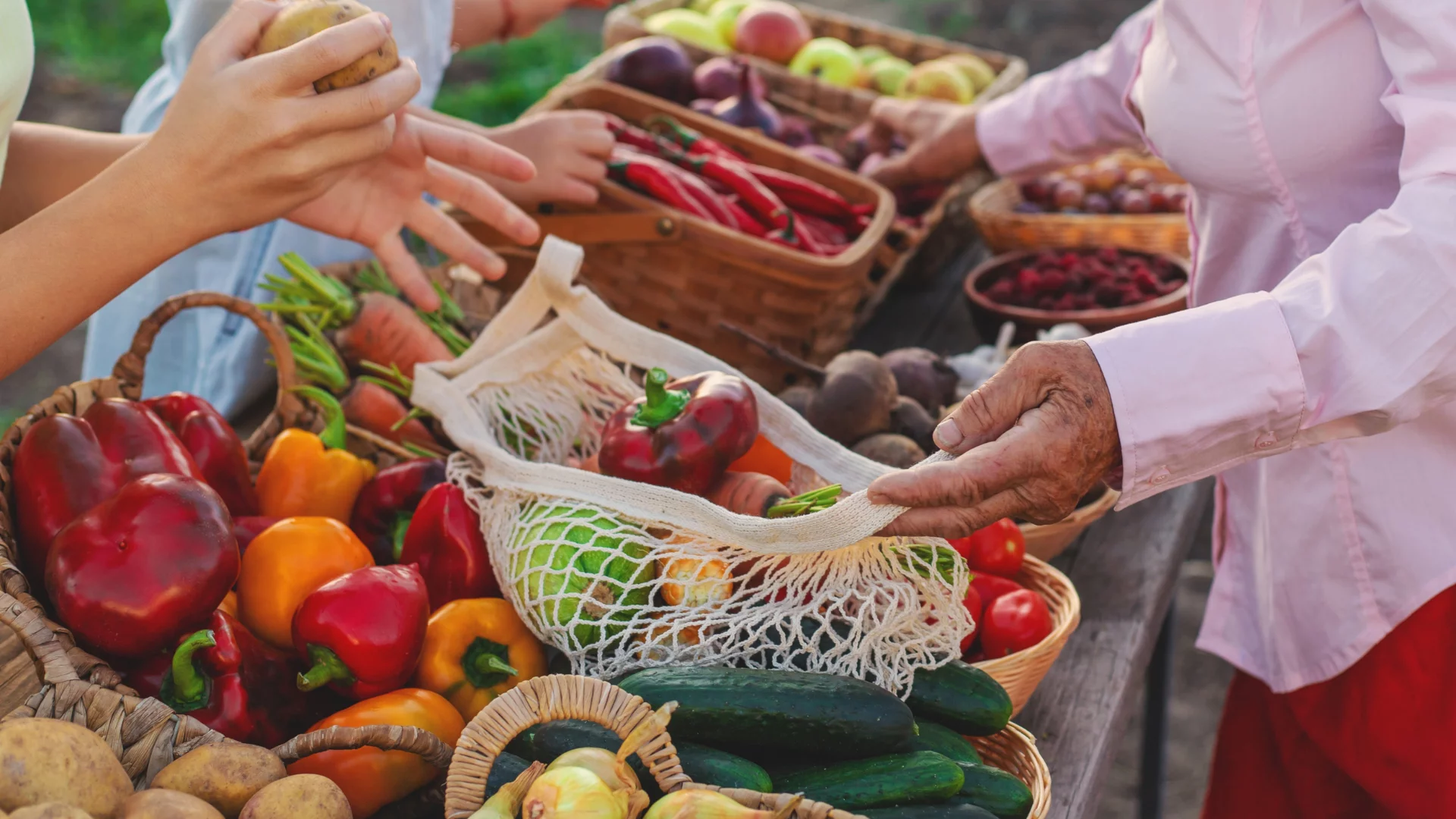 Żywność GMO wjeżdża na talerze. Cicha rewolucja w sklepach Europejczyków