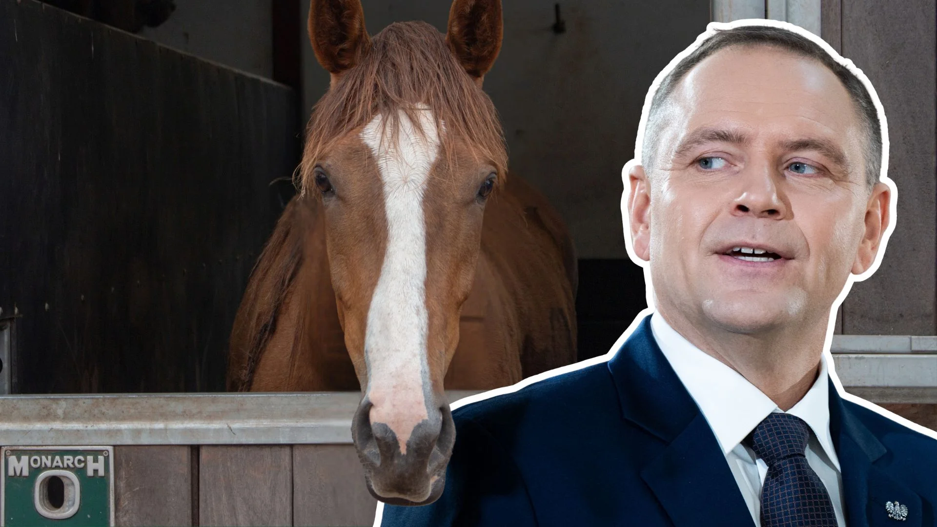 Prezydent ma pasję do koni i sporo ona kosztuje. Rzecznik "propagandowa akcja medialna podkutych" Koń jaki jest, każdy widzi