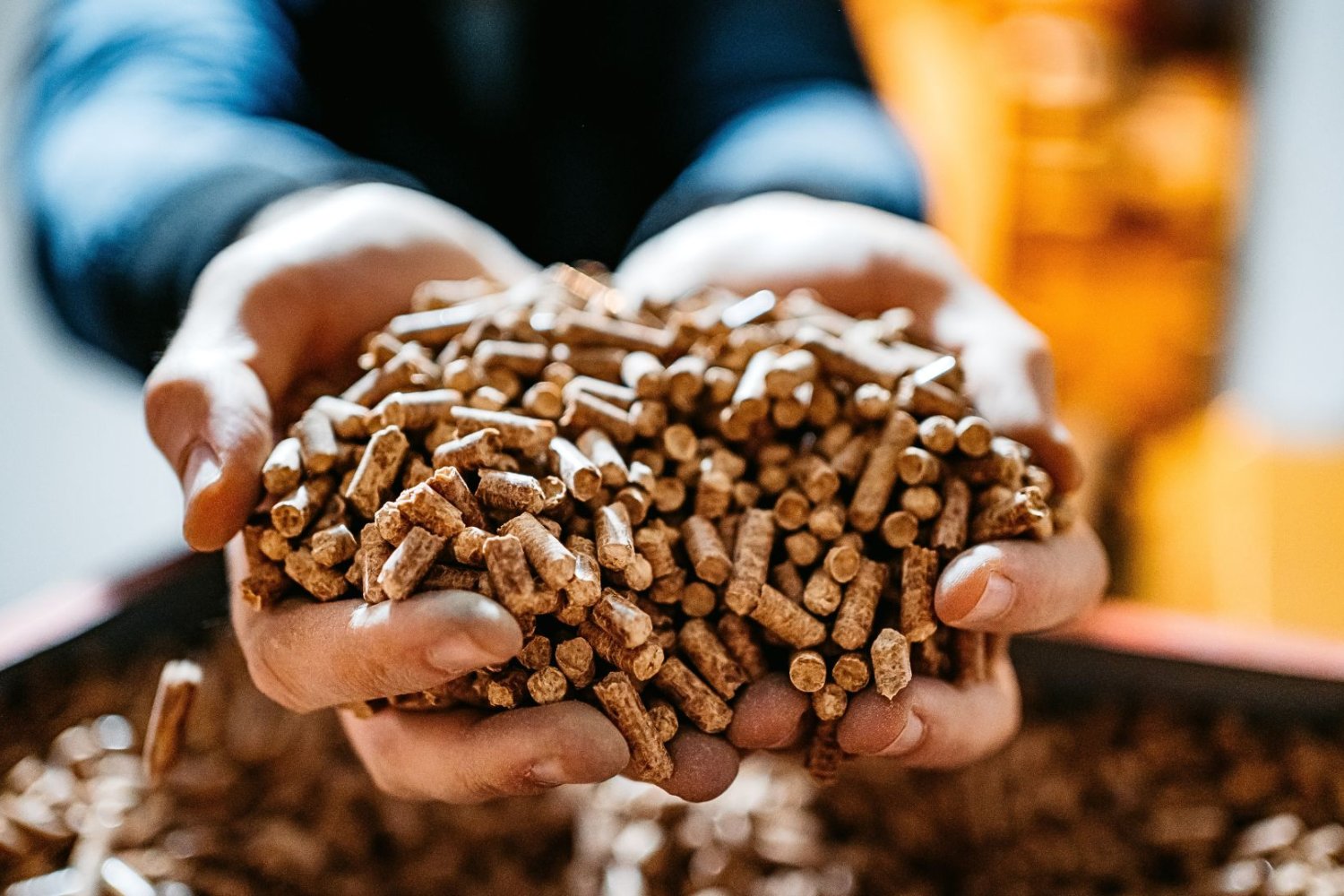 mężczyzna trzyma w dłoniach pellet.