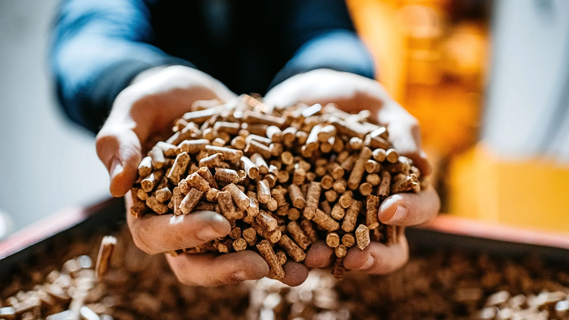 mężczyzna trzyma w dłoniach pellet.