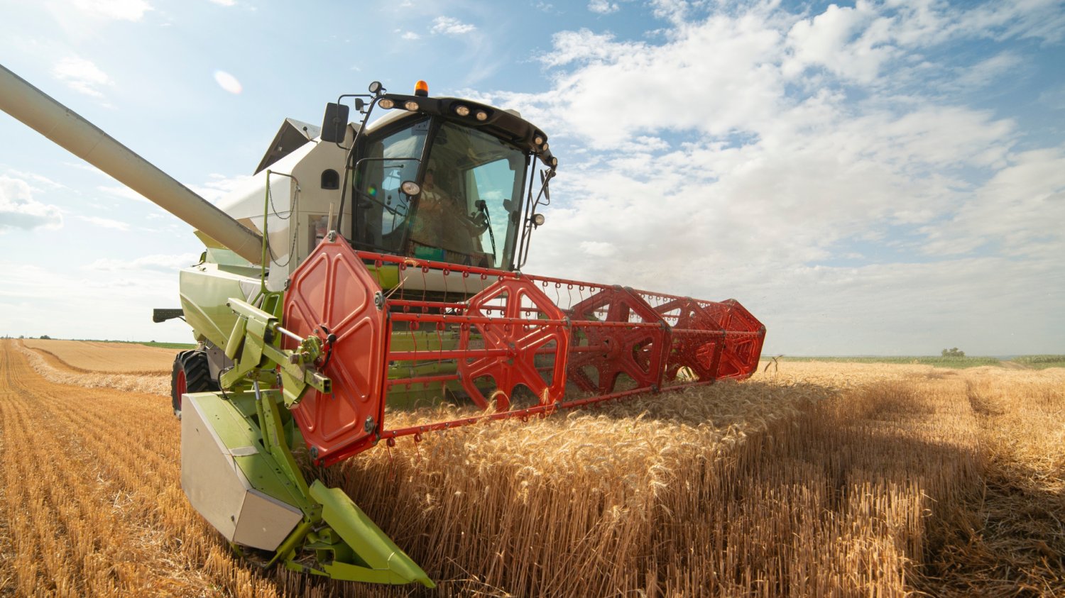 Gdański Agro Terminal gotowy do działania. Potężna inwestycja za 240 mln zł Kombajn zbierający pszenice.