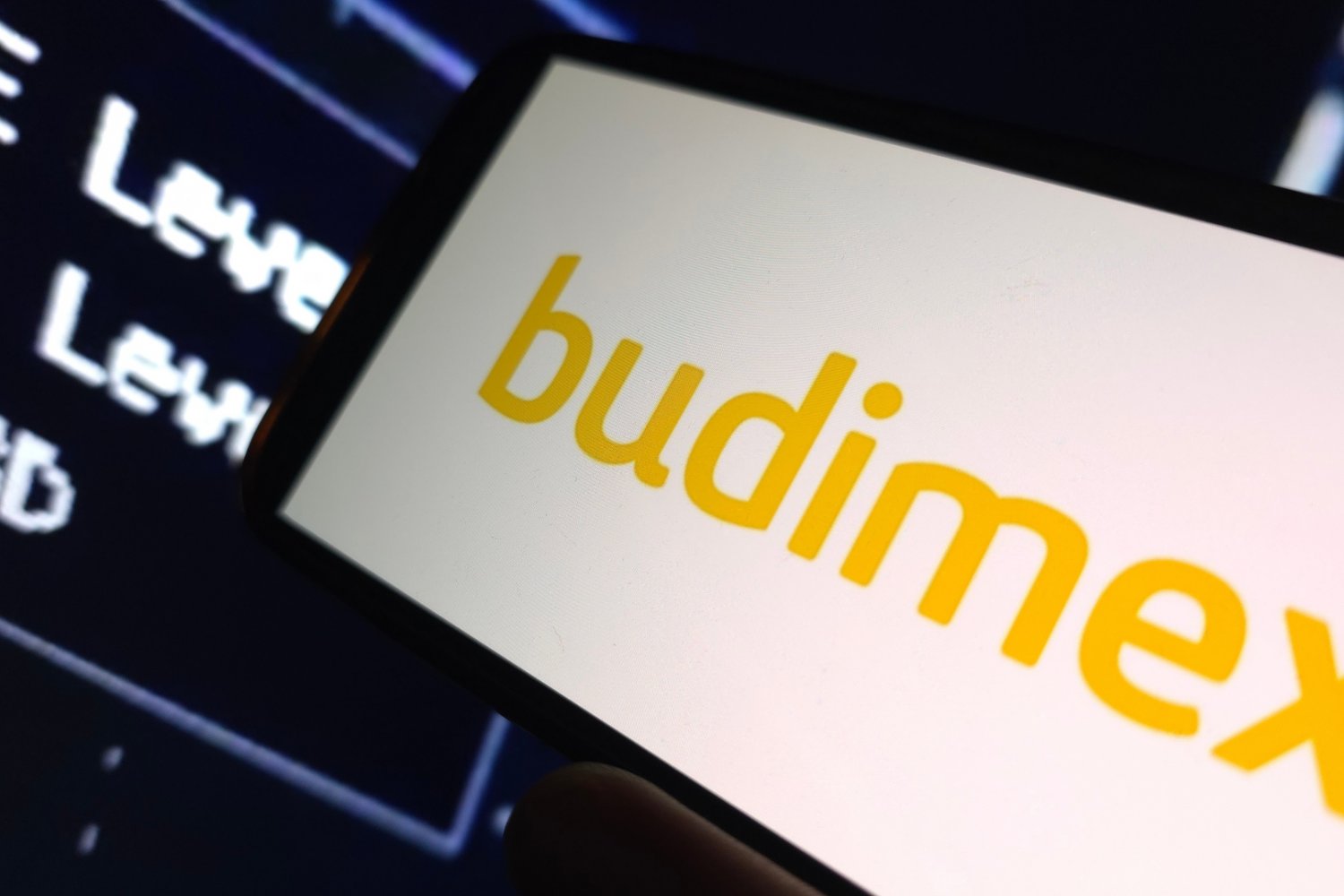 logo budimex na smartfonie