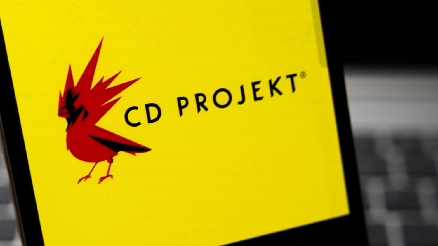 Kurs akcji CD Projektu broni kluczowego poziomu. Firma bije rekord, jeżeli chodzi o zatrudnianie Logo CD projekt