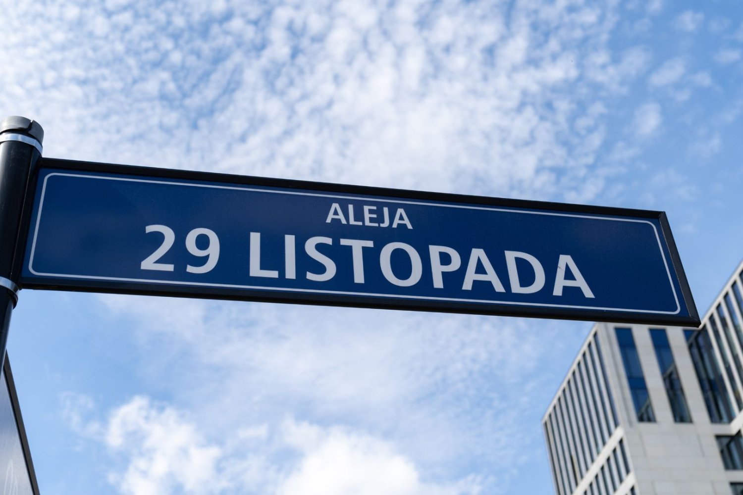 Kraków wchodzi w najtrudniejsze dni wakacji. Kierowcy złapią się za głowę. znak, aleja 29 listopada.
