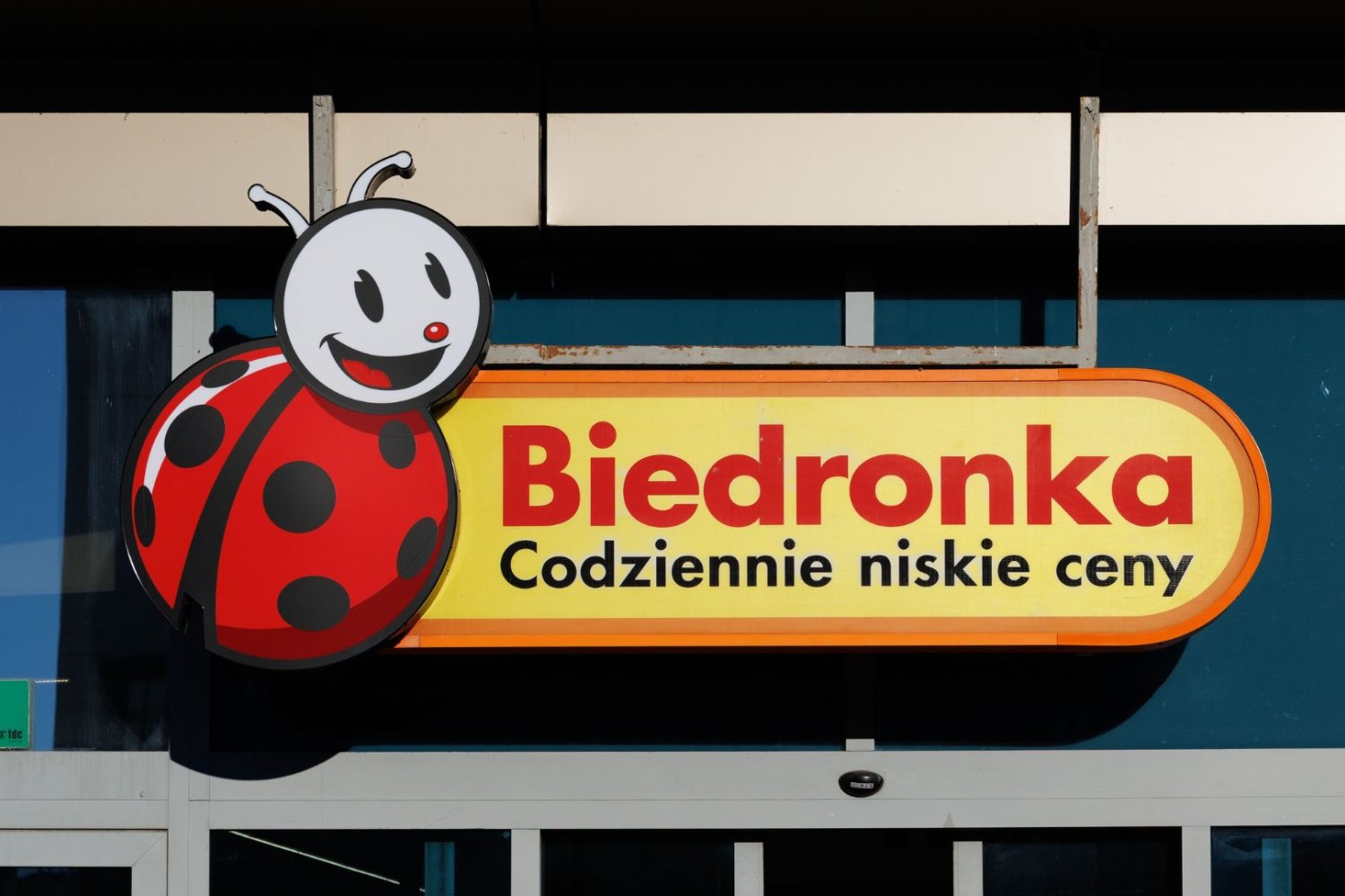 Biedronka odpala petardę tylko 29 lipca. Oddają kasę za kaucję, Polacy wyczyszczą półki. Logo sklepu Biedronka.