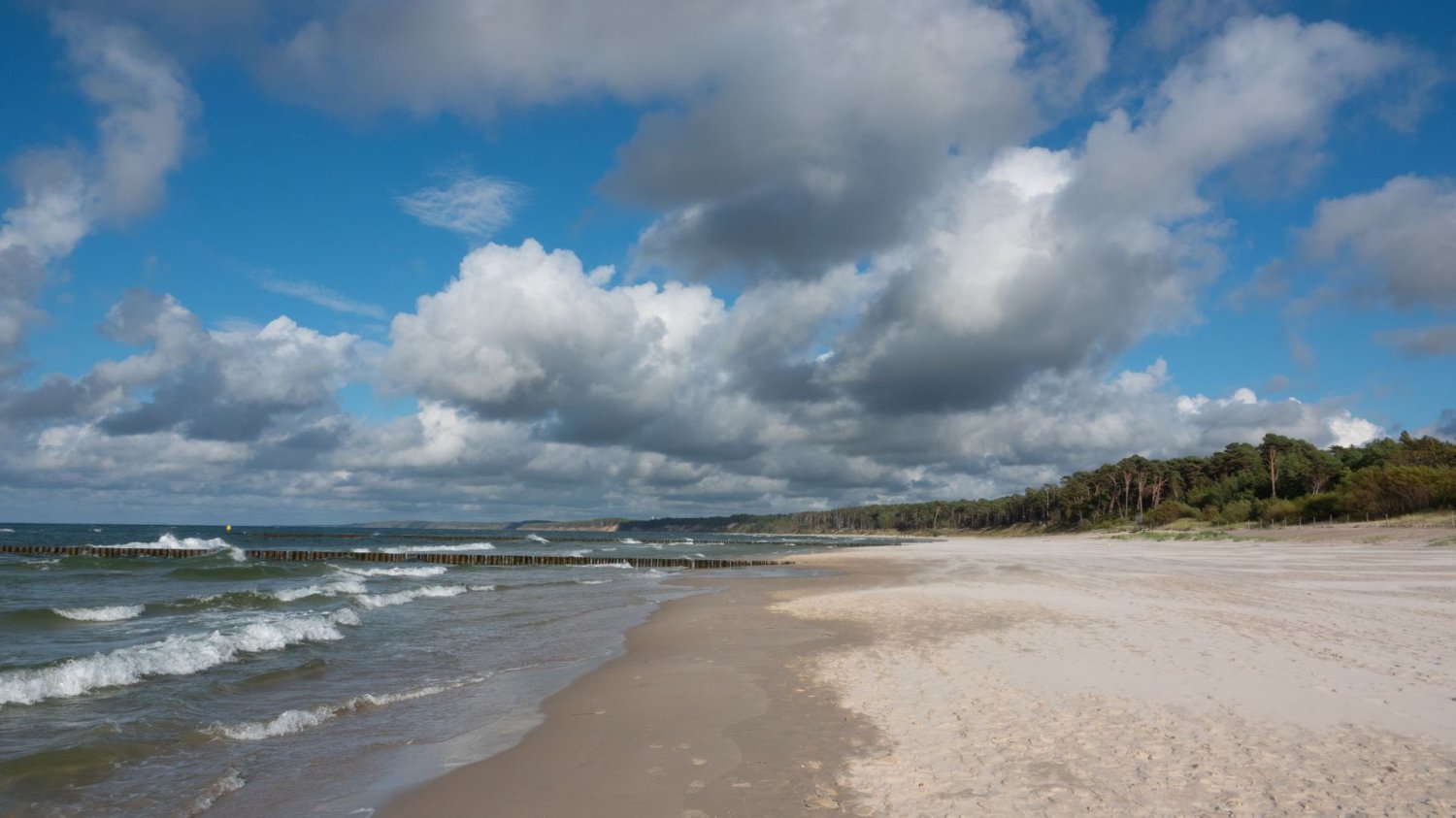plaża.