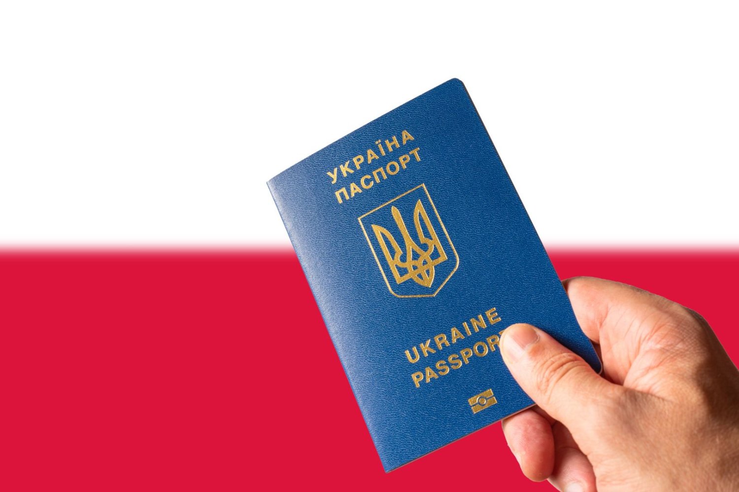 Ukraińcy napędzają polską gospodarkę. Bez nich wiele firm nie dałoby rady Polska nie może obyć się bez Ukraińców. Eksperci wskazują na trwałą zmianę