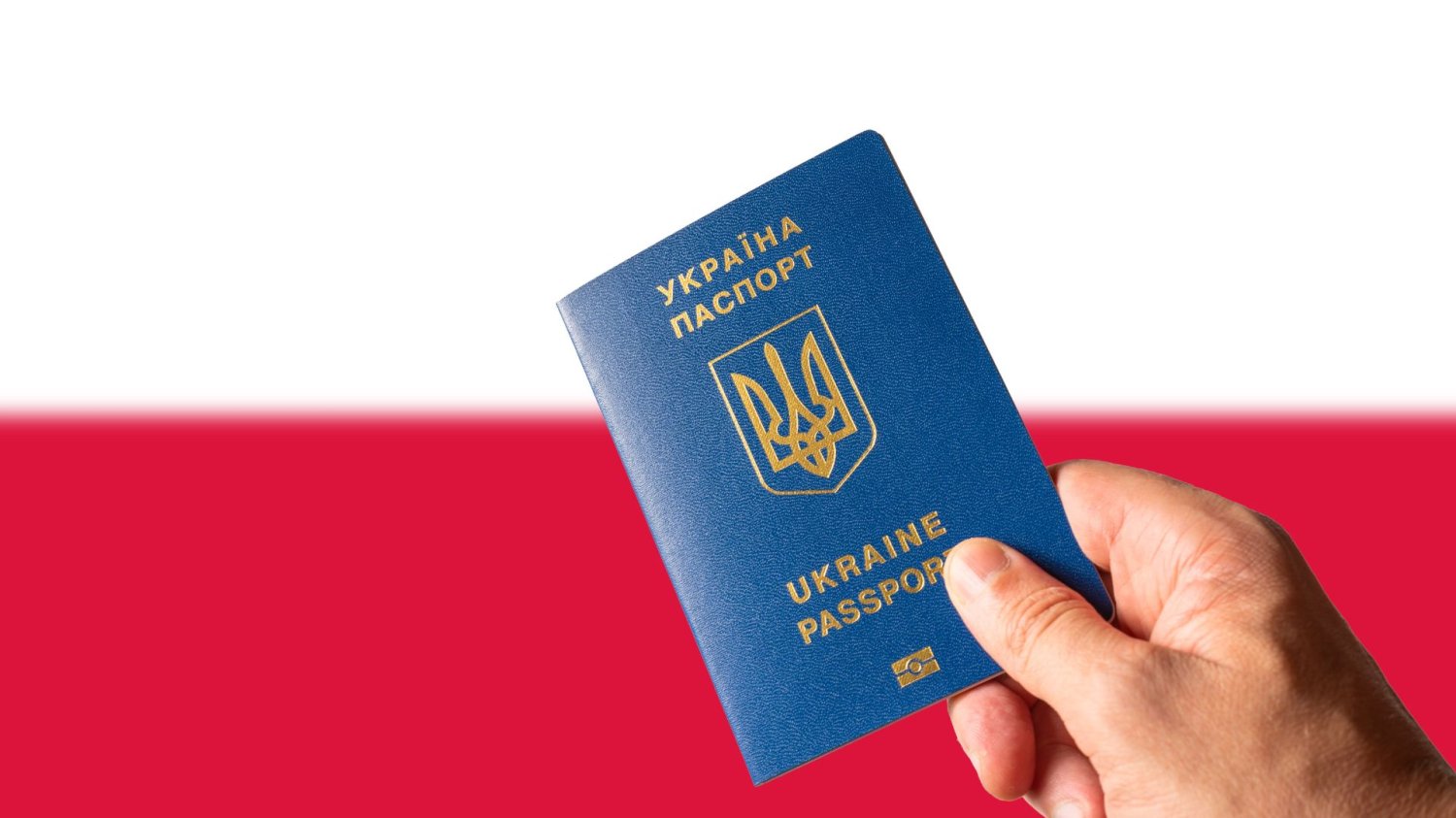 Ukraińcy napędzają polską gospodarkę. Bez nich wiele firm nie dałoby rady Polska nie może obyć się bez Ukraińców. Eksperci wskazują na trwałą zmianę