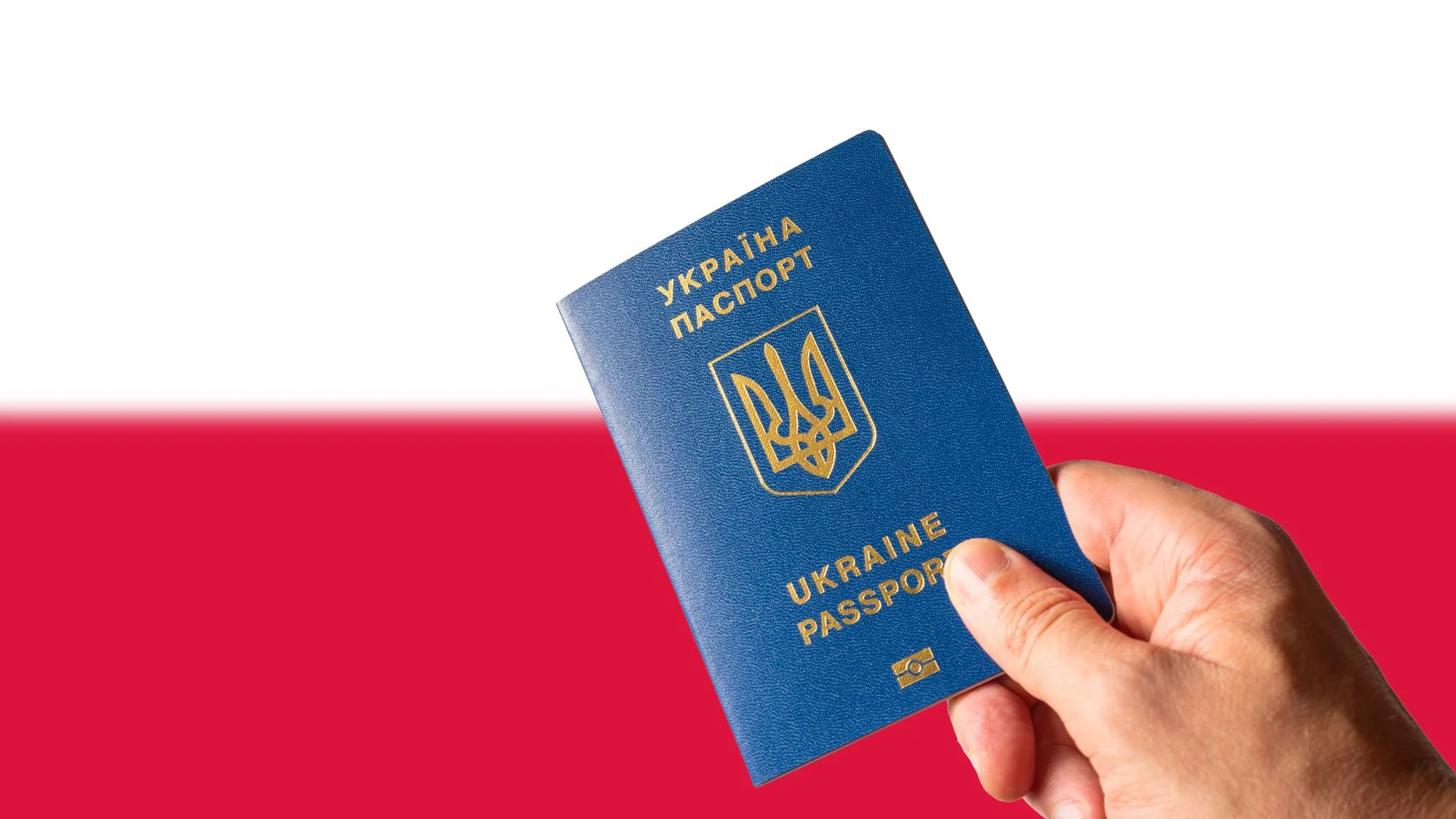 Ukraińcy napędzają polską gospodarkę. Bez nich wiele firm nie dałoby rady