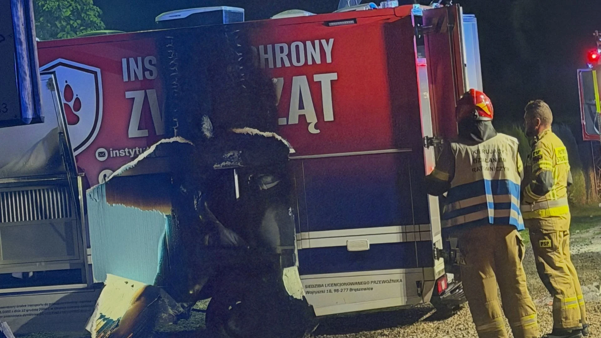 Spłonął pojazd aktywistów DIOZ po proteście w Tatrach. Spór o konie wymknął się spod kontroli?