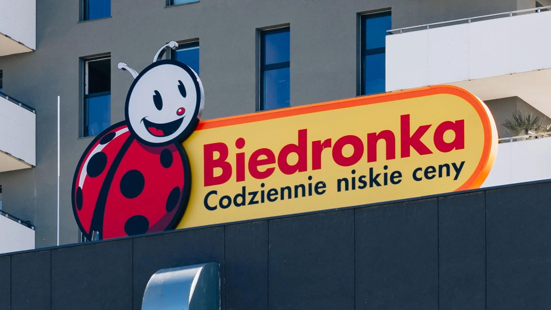 Promocje w Biedronce tylko w sobotę. Hity za 1 zł i 1+1 gratis, ale jest haczyk