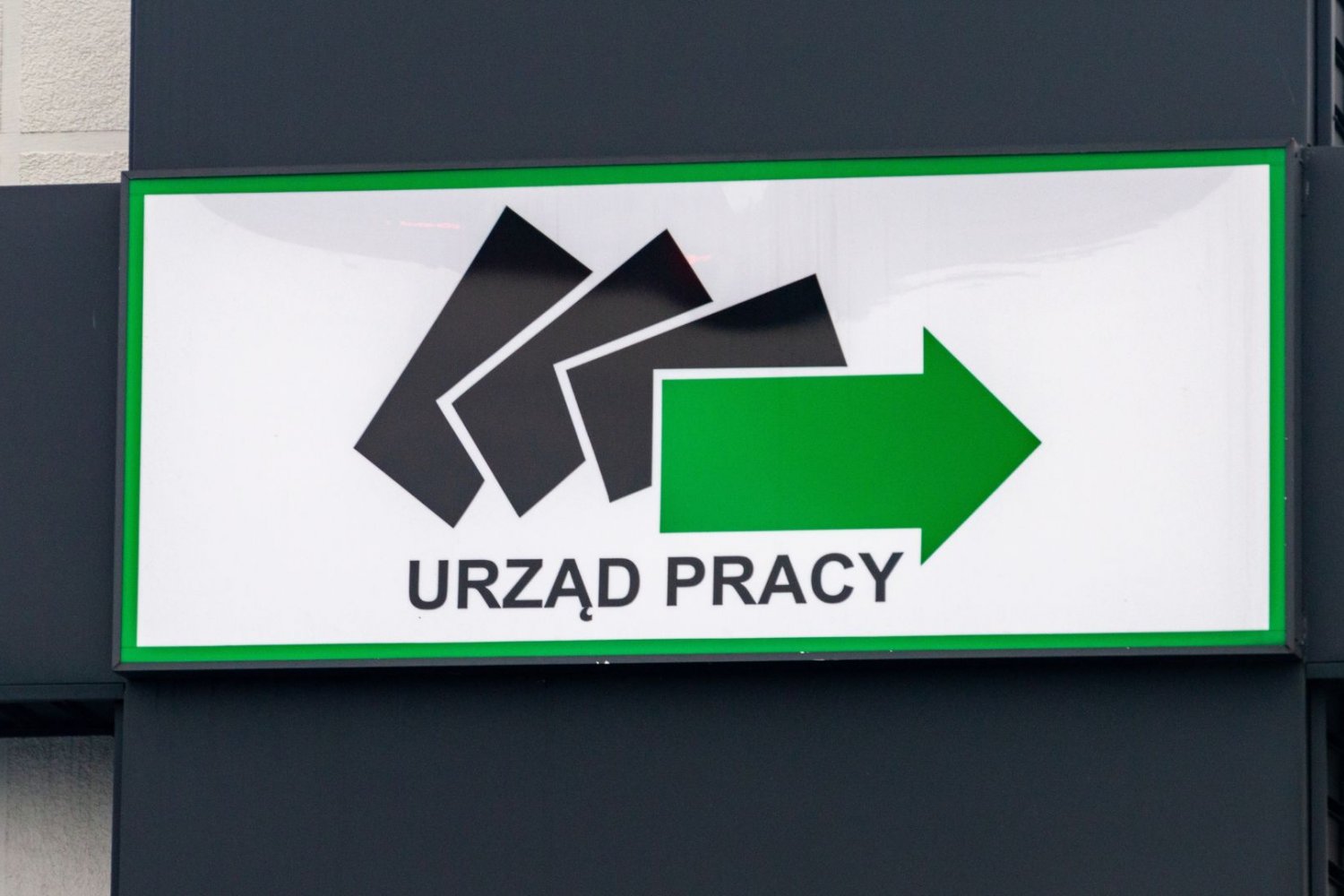 Szyld z napisem "Urząd Pracy". Ile wynosi bezrobocie w Polsce? Nowy raport GUS. Wielkopolska i Warmia na dwóch biegunach