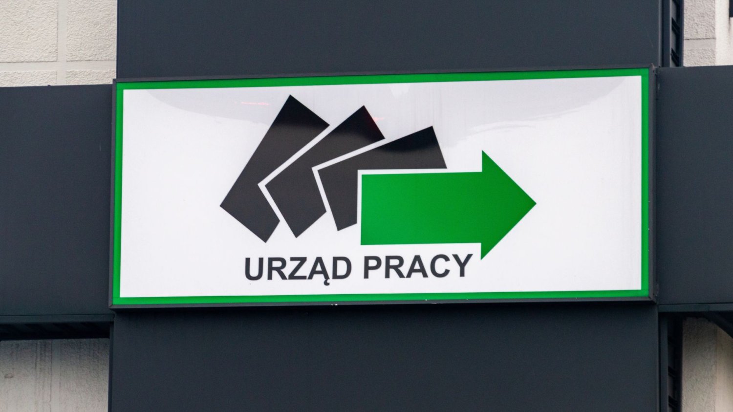 Bezrobocie w Polsce w maju 2026. GUS podał dane. Gdzie jest najgorzej? Szyld z napisem "Urząd Pracy". Ile wynosi bezrobocie w Polsce? Nowy raport GUS. Wielkopolska i Warmia na dwóch biegunach
