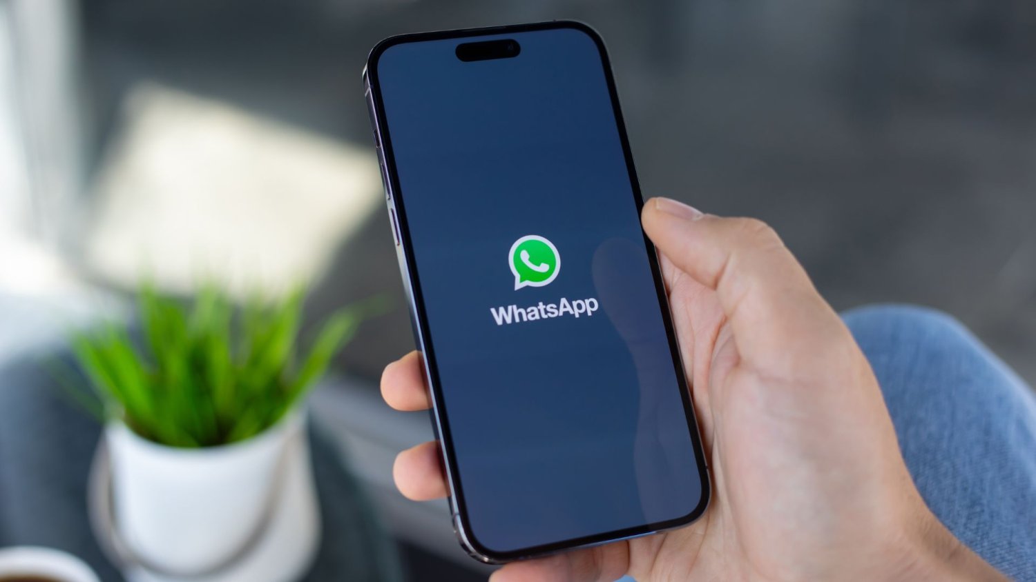 Konta polityków na WhatsAppie w rękach oszustów? CERT wydał pilne ostrzeżenie