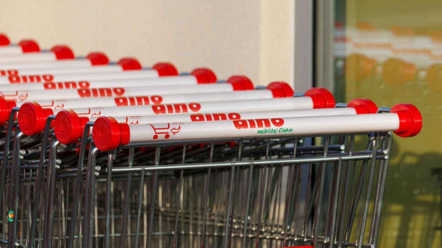 Dino szaleje z promocjami. Dobra kawa tańsza o 20 zł, dynia za mniej niż 2 zł. Wózki sklepowe Dino.