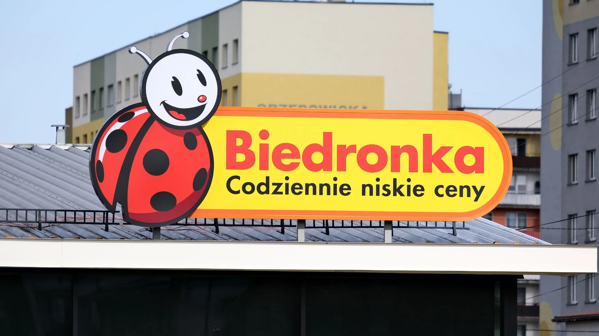 Biedronka odpala mocne promocje. Hity na Dzień Nauczyciela, kawa i masło za grosze. Logo sklepu Biedronka.