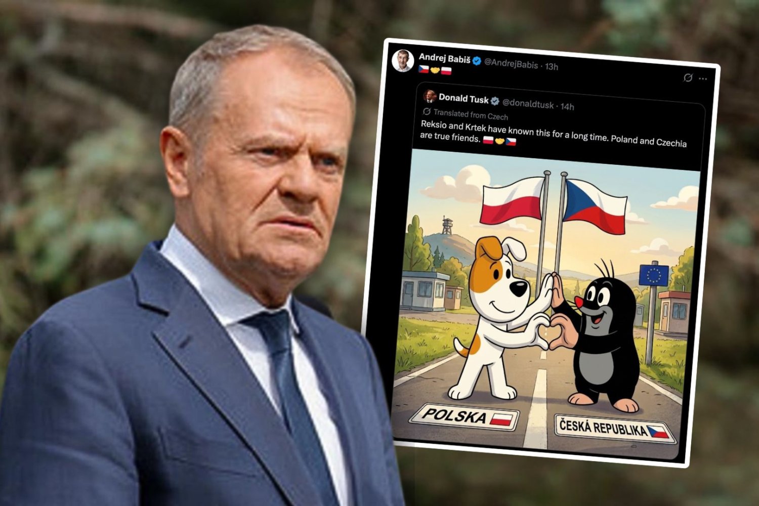 Donald Tusk, zrzut ekranu z portalu X.