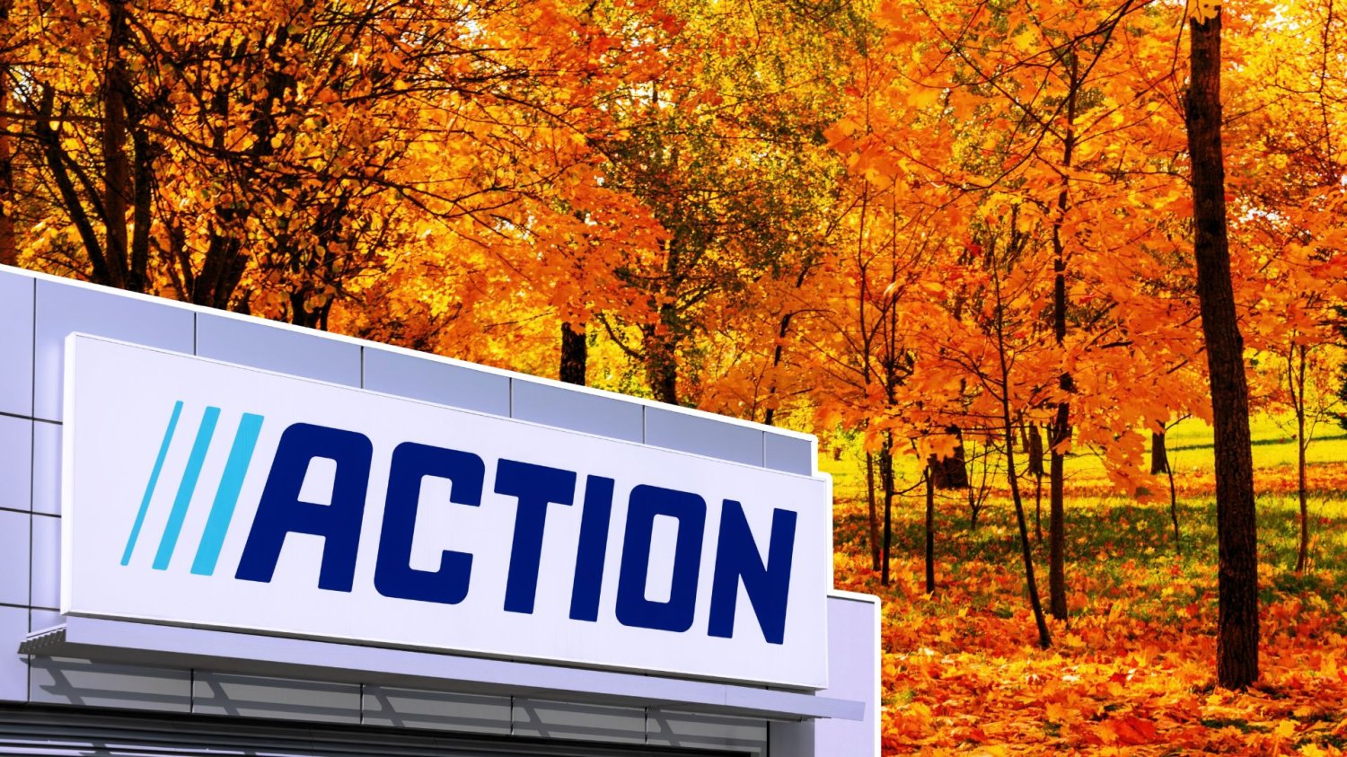 Logo sklepu Action na tle jesiennych drzew.
