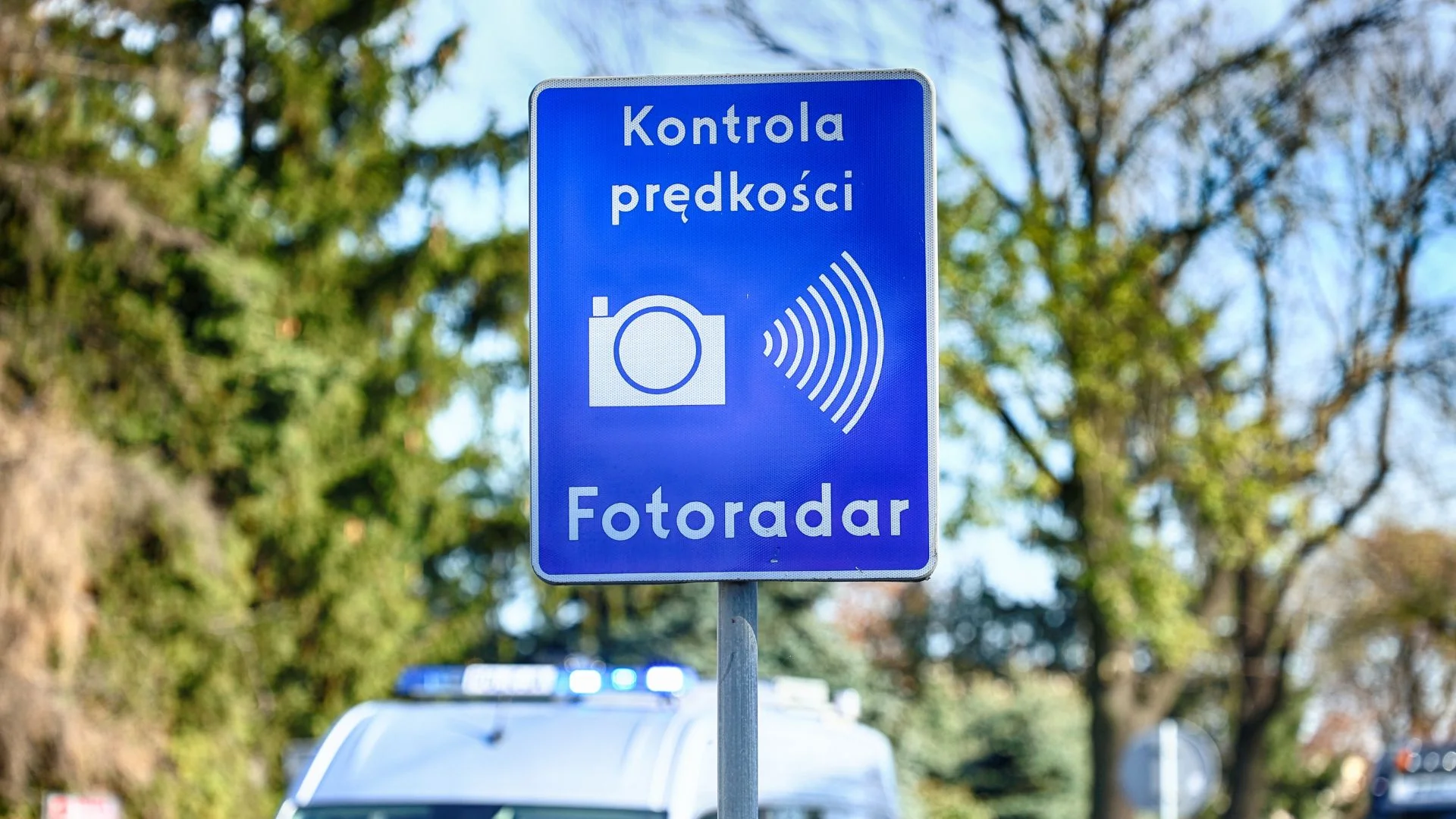 Paradoks polskich kierowców. Sondaż ujawnił zdumiewającą sprzeczność