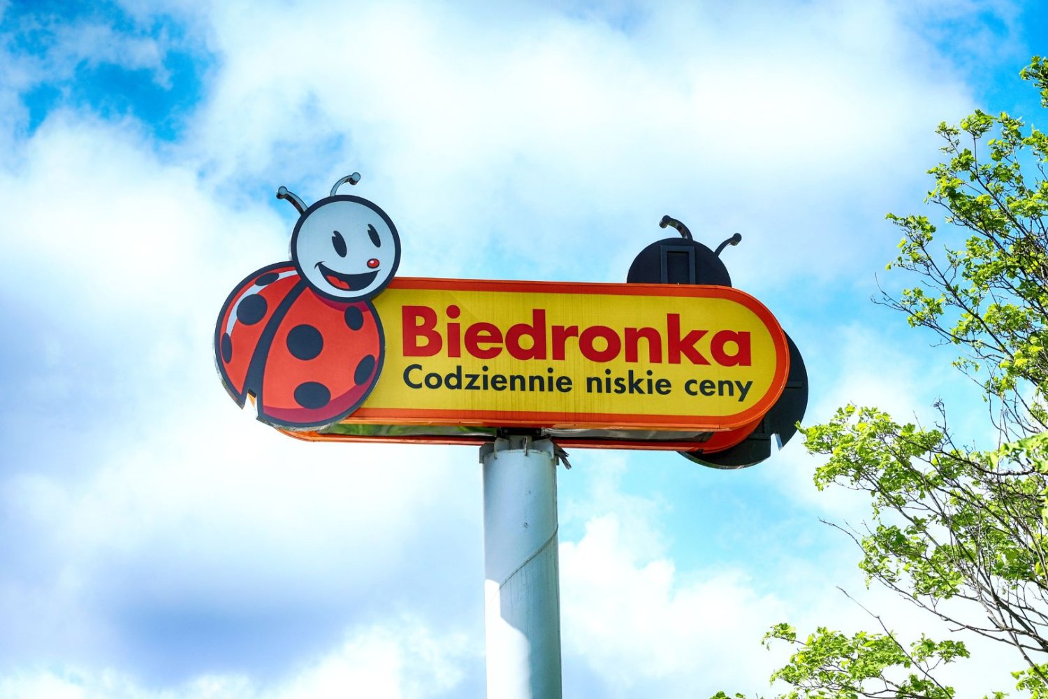 Biedronka szykuje kolejny Gang. Klienci już zacierają ręce Znak sklepu Biedronka.
