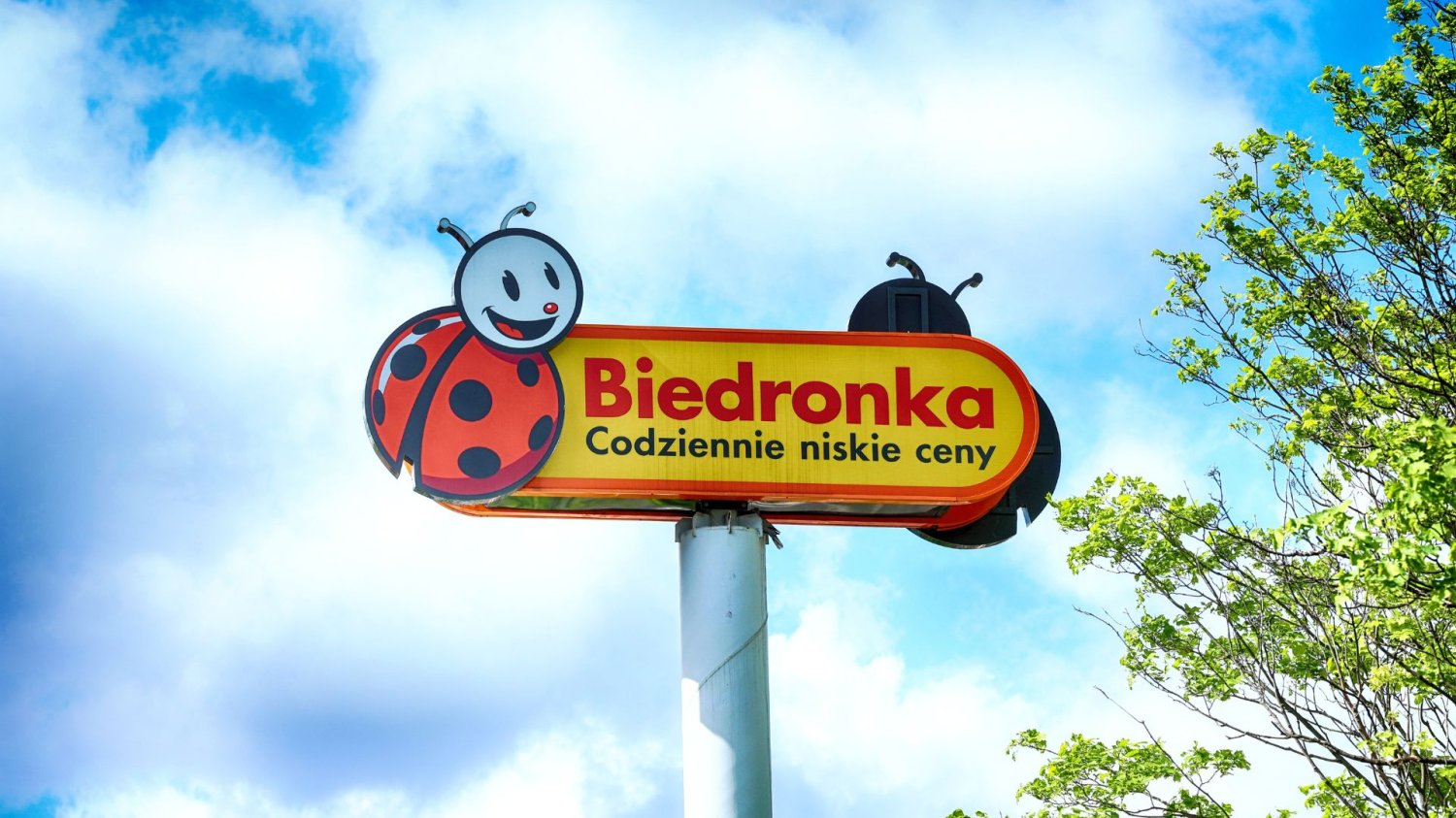 Biedronka szykuje kolejny Gang. Klienci już zacierają ręce Znak sklepu Biedronka.